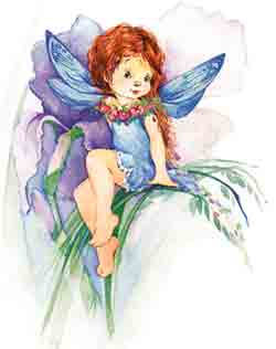 Fairy