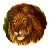 Lion Bit Sheet of 21