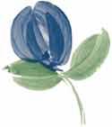 Blue Rose Bud - Slovak Series