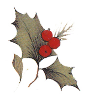 Poinsettia Bits