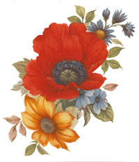 POPPIES AND DAISIES