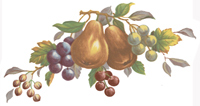 Pears, Cherries, Grapes, Gooseberries