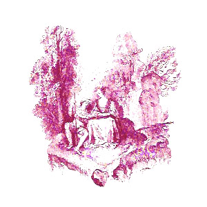 Toile Romance - Pink