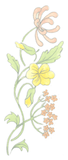 Anastasia - pink/yellow flower