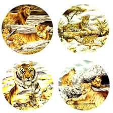 Cats - Big Cats - Lion, Tiger, Leopard, Puma