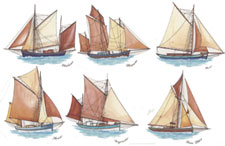 Sailboats