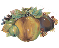 Fruit Festival II Apple, Goose Berries, Blue Berries, Plum