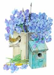 Hydrangeas and Birdhouse  Low temp/cold