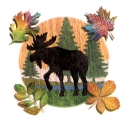 Rustic-Lodge Design - Moose