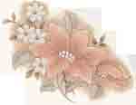 Pink Clematis - 4 pcs. per sheet