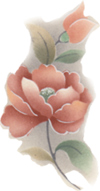 Rose colored flowers bits - Tamarisk
