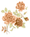 Rosalie - pink roses