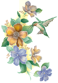 Birds - Tropicana Hummingbirds