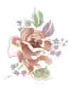 Tasmin Floral Flowers - Watercolor Rose