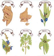 Herbs-Sage, Ginger, Basil, Garlic, Parsley, Bay Leaves,