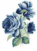 Blue Roses