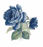 Blue Roses BITS