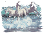 Horses in Water