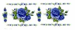 Roses - Blue Border