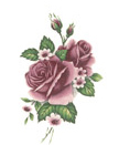 Roses - Pink Bits