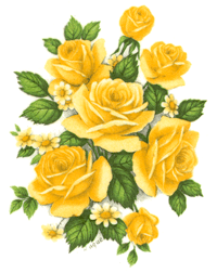 Roses Yellow Rosette