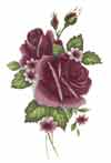 Roses - Deep Pink Maron Sidespray