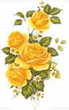 Roses - Yellow Sidespray