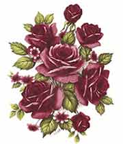 Roses - Deep Pink Maron  Rosette