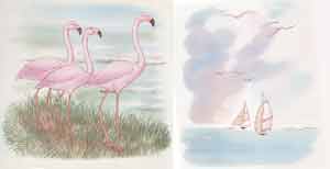 Flamingo & Sailboats