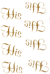 HIS BITS GOLD 8 PER SHEET