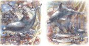 Dolphin Scene Set of 2