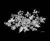 White Enamel Floral - Glass-Low Fire