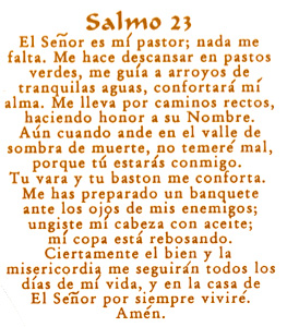 Salmo 23 - SPANISH -Bright Gold