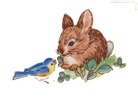 Bunny with Bluebird