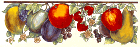 Fruit - Colorful - Pear, Apple, Plum, Grapes