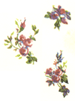 Sweet Florals - 3 pc. set - Bits