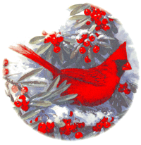 Cardinal and Berries