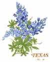 Texas Blue Bouquet