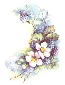Blooming Blackberry