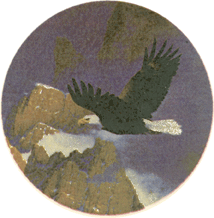 Eagle