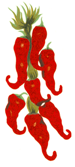 Mexican Chilies Peppers