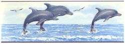 Dolphins