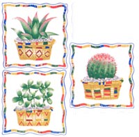 Cactus Set 3 piece