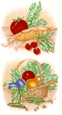 Vegetable and Fruit Basket, Pears, Peas, Corn, Cherry, Plums, Grapes, Pears