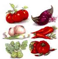 Vegetable Variety - Tomato, Onions, Peppers, Carrots, Kohlrabi, Eggplant