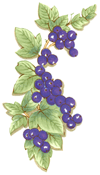 French Fruit-Liqueur-Blueberry