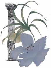 Greek Pillars, Platium Blue  Lilies - Bright Gold & Platinum