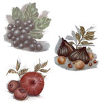 Grapes, Apples, Figs