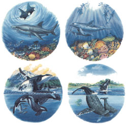 Marine Life, Shark, Dolphin, Whale