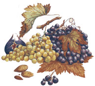 Fruit Grapes